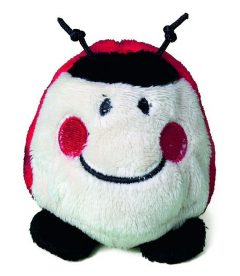 Schmoozies coccinella