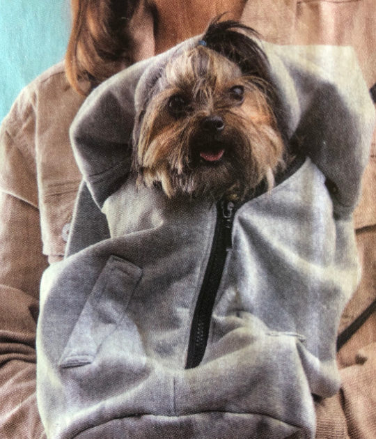 zaino per cani piccoli
