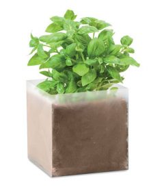 gadget ecologico