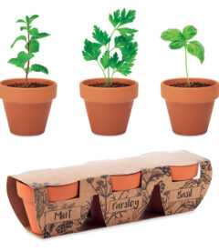 set per la coltivazione di piante aromatiche
