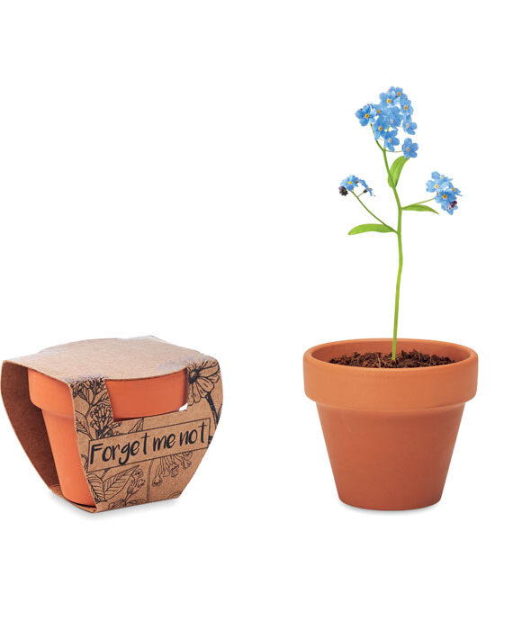 fiore da coltivare
