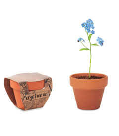 vaso con kit per coltivare fiori