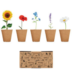 Kit per la coltivazione dei fiori.