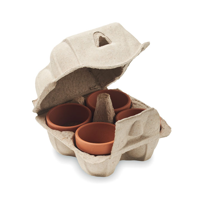 Set di 4 vasi di terracotta con semi di crescione, presentati in un vassoio di cartone per uova