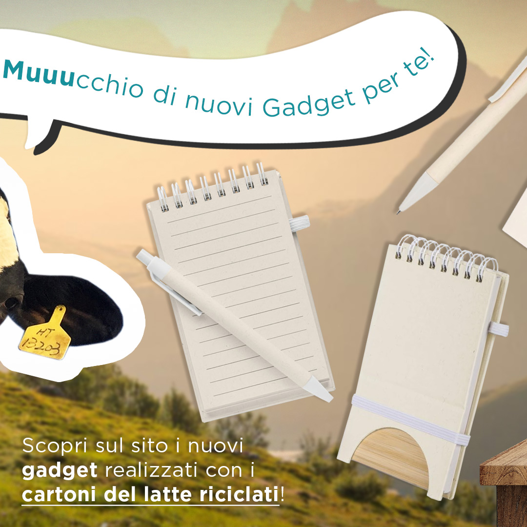 gadget cartone latte